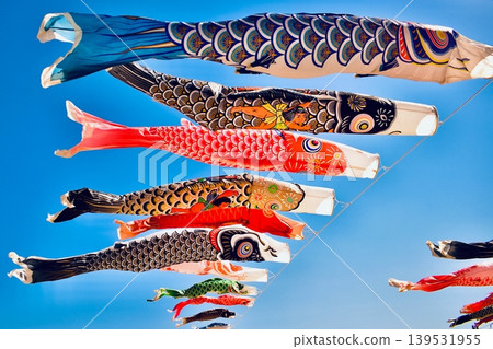 鯉魚在海岸上空翱翔 鯉魚在海岸上空翱翔 139531955