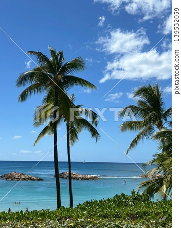 Coast with palm trees Coast with palm trees 139532059