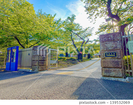 Hosei University Junior and Senior High School Hosei University Junior and Senior High School 139532069