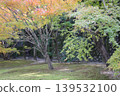 Autumn leaves in the garden Autumn leaves in the garden 139532100