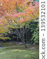 Autumn leaves in the garden Autumn leaves in the garden 139532101