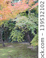 Autumn leaves in the garden Autumn leaves in the garden 139532102