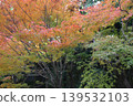 Autumn leaves in the garden Autumn leaves in the garden 139532103