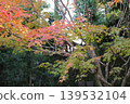 Autumn leaves in the garden Autumn leaves in the garden 139532104