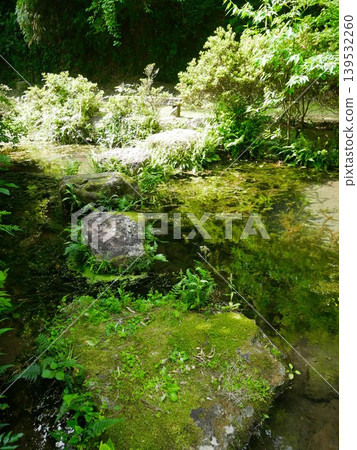 Kumamoto Prefecture, Misato Town, Nakarenji Spring Water Source, Spring Pond 139532260