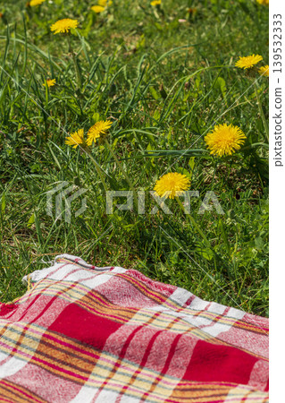 The red, white, and yellow patterned picnic blanket laid on green grass with a dandelion flowers around The red, white, and yellow patterned picnic blanket laid on green grass with a dandelion flowers around 139532333