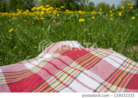 The red, white, and yellow patterned picnic blanket laid on green grass with a dandelion flowers around The red, white, and yellow patterned picnic blanket laid on green grass with a dandelion flowers around 139532335