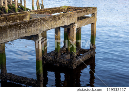 Disused Dilapidated Harbour Jetty Concrete Support Structure with Attached Seaweed and Algae Disused Dilapidated Harbour Jetty Concrete Support Structure with Attached Seaweed and Algae 139532337