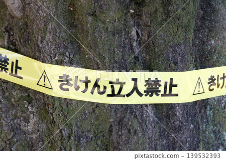 Non-accessible tape Non-accessible tape 139532393