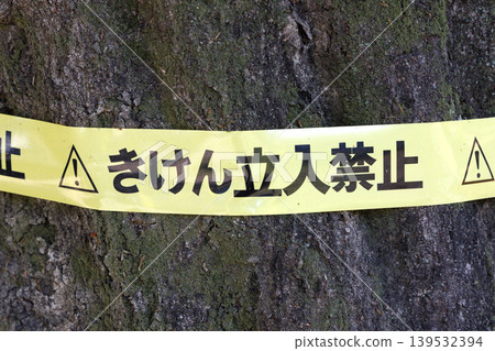 Non-accessible tape 139532394