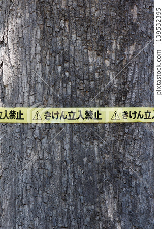 Non-accessible tape Non-accessible tape 139532395