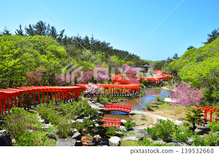 Takayama Inari Shrine in Spring Takayama Inari Shrine in Spring 139532668