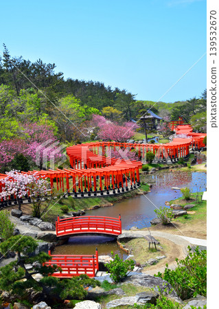 Takayama Inari Shrine in Spring Takayama Inari Shrine in Spring 139532670