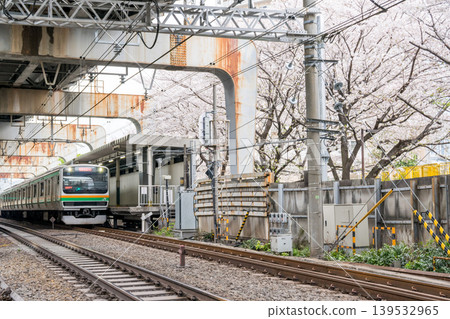 【西大井站】櫻花盛開,湘南新宿線列車駛過。 【西大井站】櫻花盛開,湘南新宿線列車駛過。 139532965