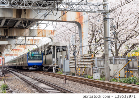 【西大井站】櫻花盛開,橫須賀/總武快速線列車穿梭往來。 【西大井站】櫻花盛開,橫須賀/總武快速線列車穿梭往來。 139532971