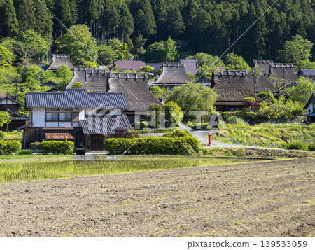 美山村,茅草屋頂,如今綠意盎然。 美山村,茅草屋頂,如今綠意盎然。 139533059