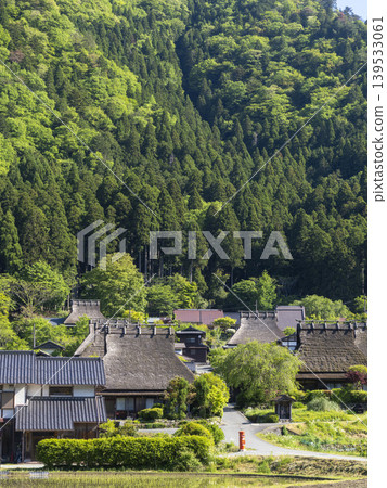 Miyama thatched village, covered in vibrant new greenery. Miyama thatched village, covered in vibrant new greenery. 139533061