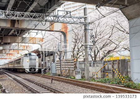 [Nishi-Ōi Station] Cherry blossoms in full bloom and the Narita Express limited express train 139533173