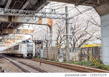 [Nishi-Ōi Station] Cherry blossoms in full bloom and the Narita Express limited express train 139533174