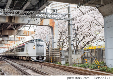 [Nishi-Ōi Station] Cherry blossoms in full bloom and the Narita Express limited express train 139533175