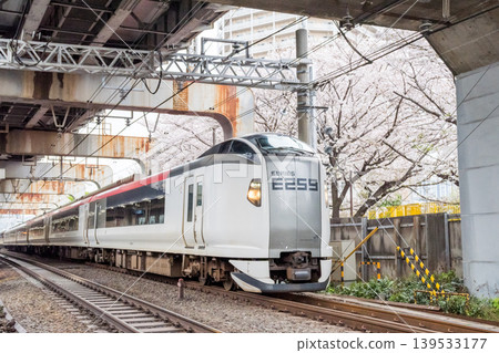 [Nishi-Ōi Station] Cherry blossoms in full bloom and the Narita Express limited express train 139533177