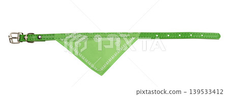 Green collar for dog or cat with decorative bandana and metal buckle Green collar for dog or cat with decorative bandana and metal buckle 139533412