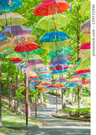 A park with fresh greenery and an umbrella sky swaying in the wind - Kanra General Park, Gunma Prefecture A park with fresh greenery and an umbrella sky swaying in the wind - Kanra General Park, Gunma Prefecture 139533490