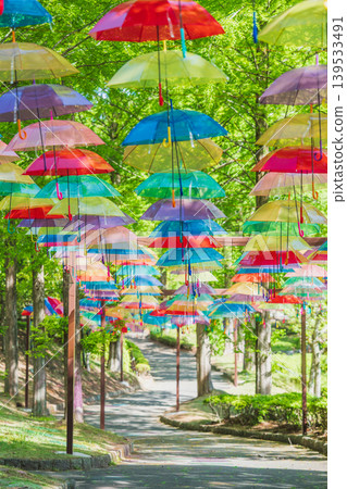 A park with fresh greenery and an umbrella sky - Kanra General Park, Gunma Prefecture A park with fresh greenery and an umbrella sky - Kanra General Park, Gunma Prefecture 139533491