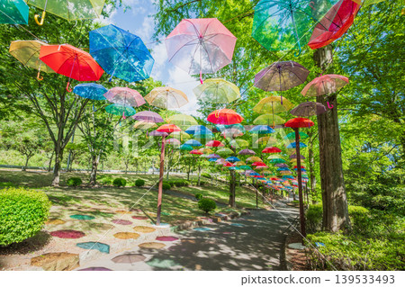 A park with fresh greenery and an umbrella sky - Kanra General Park, Gunma Prefecture A park with fresh greenery and an umbrella sky - Kanra General Park, Gunma Prefecture 139533493