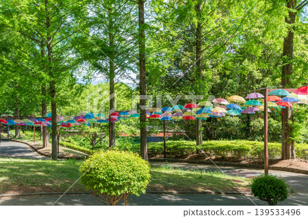 在群馬縣甘良綜合公園，五彩繽紛的雨傘組成了一片天空，被稱為「雨傘天空」。 139533496