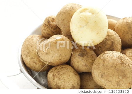新土豆 新土豆 139533530