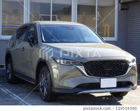 Crossover SUV type passenger car 139534300