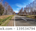 Birch tree-lined avenue in Tokachi-Mitsumata 139534794