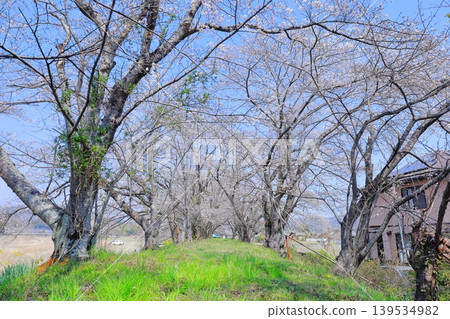 栃木縣栃木市宮野櫻堤岸 139534982