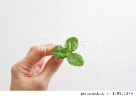一隻手握著三葉草-象徵好運 一隻手握著三葉草-象徵好運 139535379