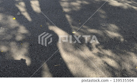 Dark asphalt road surface with abstract tree shadows, sunlight patches on black pavement, textured ground during sunny day, outdoor street detail, natural light pattern on rural way. Dark asphalt road surface with abstract tree shadows, sunlight patches on black pavement, textured ground during sunny day, outdoor street detail, natural light pattern on rural way. 139535504