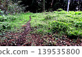 Animal trail 139535800