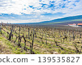World Heritage Site: Historic and Cultural Landscape of the Tokaj Wine Region - Vineyards 139535827