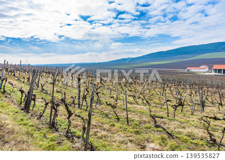 World Heritage Site: Historic and Cultural Landscape of the Tokaj Wine Region - Vineyards 139535827