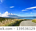 pampas grass field and blue sky 139536129
