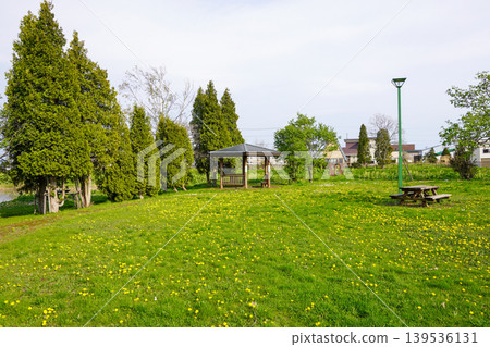 北村中央公園(Herabuna廣場) 北村中央公園(Herabuna廣場) 139536131