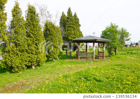 北村中央公園（Herabuna廣場） 139536134