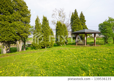 北村中央公園（Herabuna廣場） 139536135