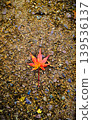 Autumn leaves that fell on the stone pavement 139536137