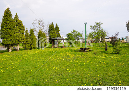 北村中央公園（Herabuna廣場） 139536139