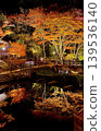 Autumn leaves reflected on the water 139536140