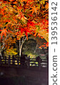 Bright autumn leaves 139536142