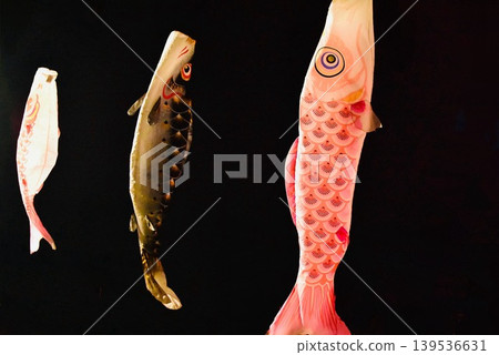 鯉魚飄帶在滿月之夜游弋 鯉魚飄帶在滿月之夜游弋 139536631