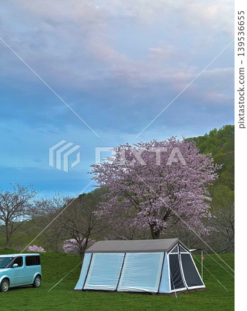 北海道北斗市雲之澤湖畔公園露營地(櫻花與白色帳篷) 北海道北斗市雲之澤湖畔公園露營地(櫻花與白色帳篷) 139536655