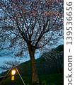 Hokuto City, Hokkaido: Yunosawa Lakeside Park Campground (Nighttime Cherry Blossoms) 139536656